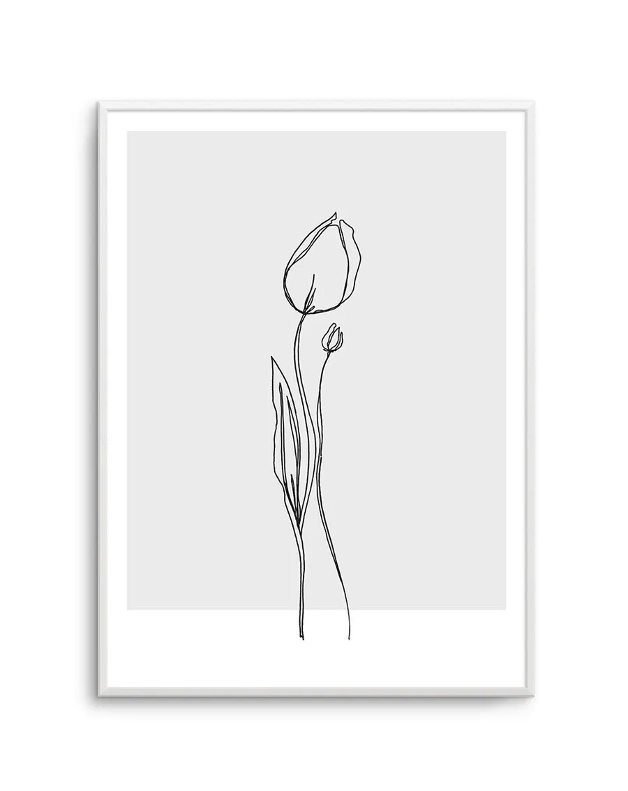Tulip II - Illustration