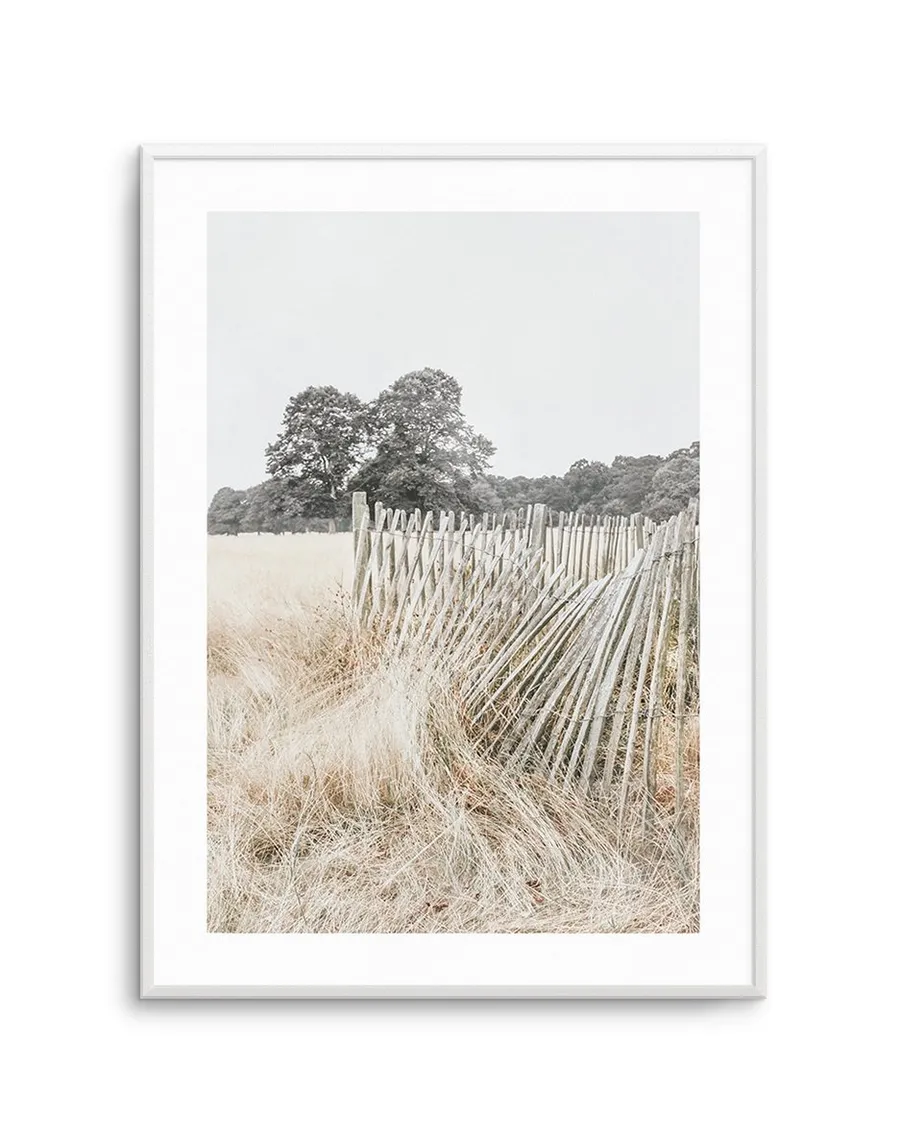 Walk in the Fields
