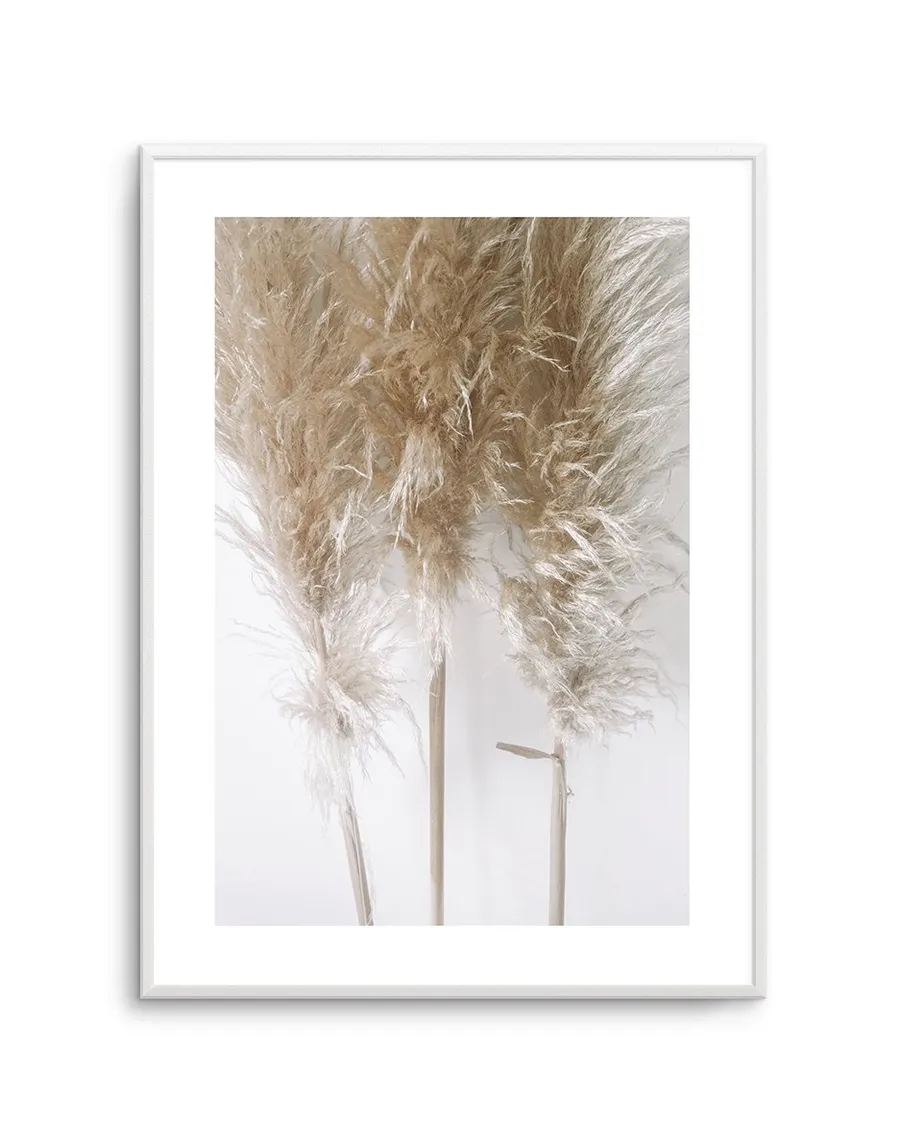 Pampas on Grey I