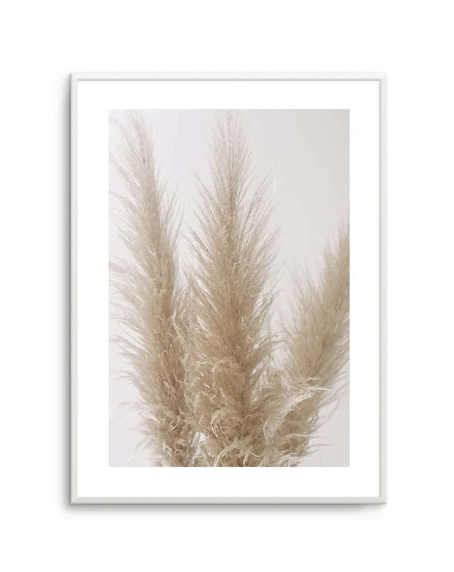Pampas on Grey II