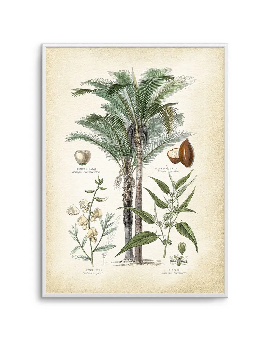 Hamptons Palm I