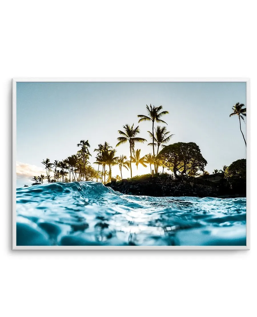 Hawaii Dreamin'