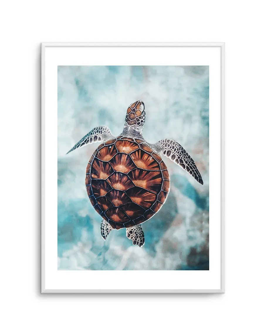Little Turtle