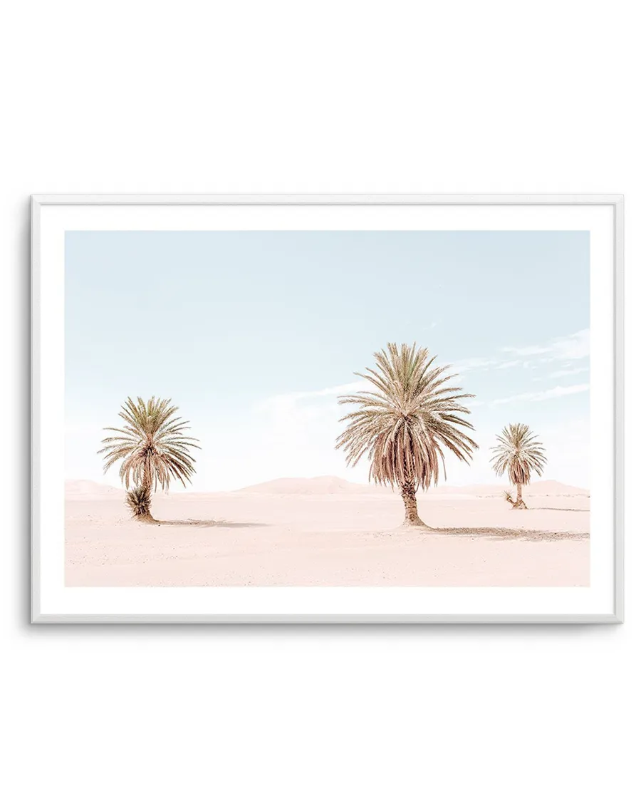 Palms Of Morocco