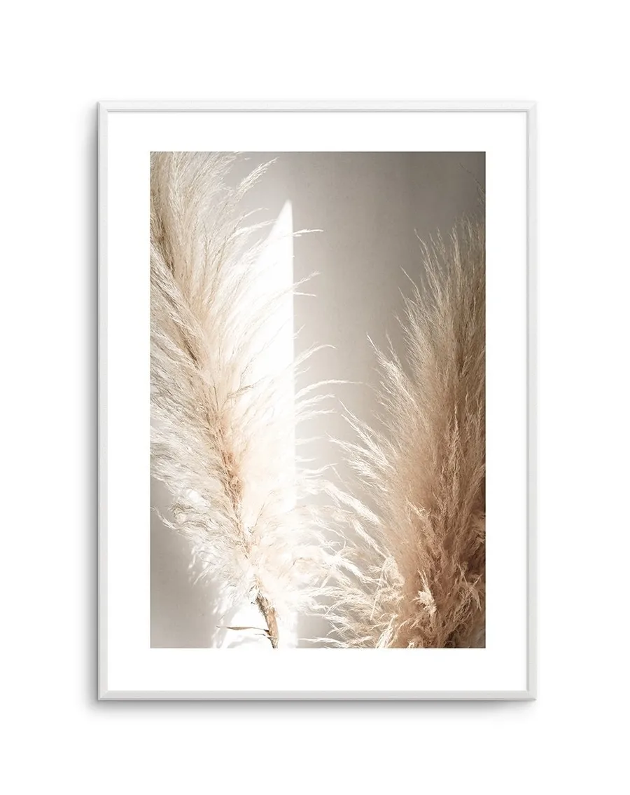 Pampas Ombres II