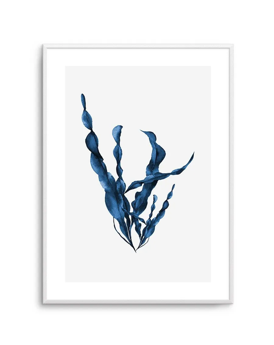 Sea Kelp IV