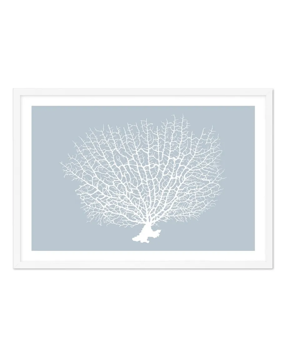 White Coral On Blue