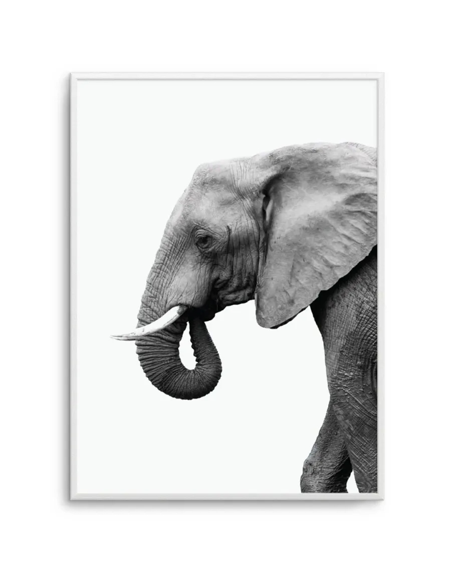 Elephant I