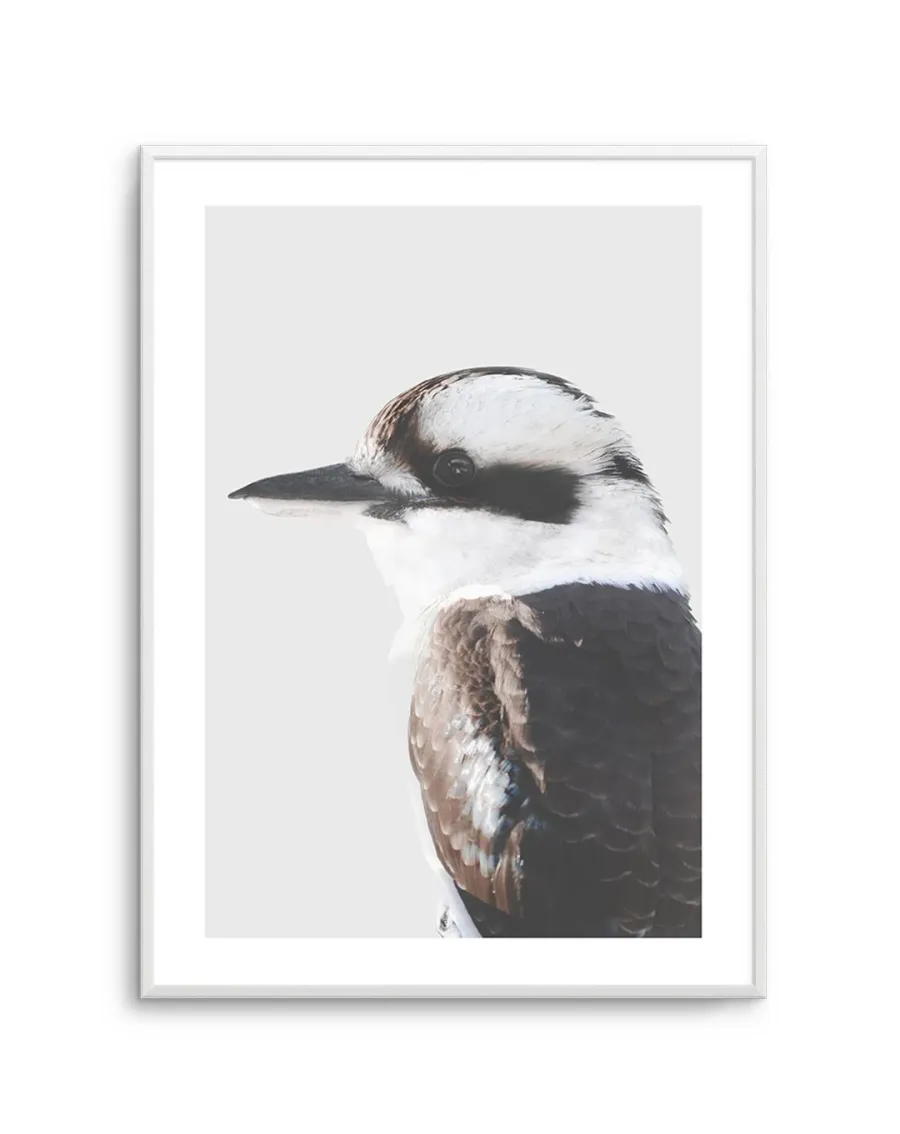 Kookaburra I