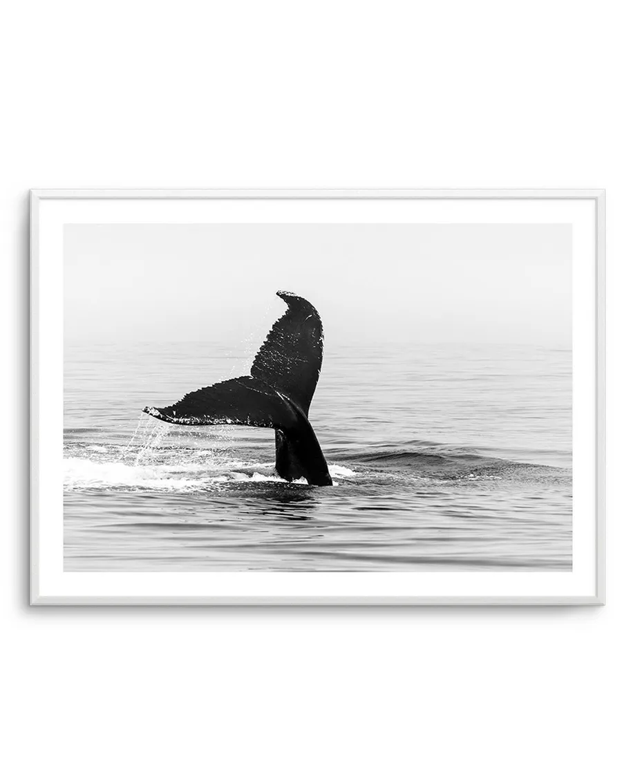 Whale Tail B&W | LS