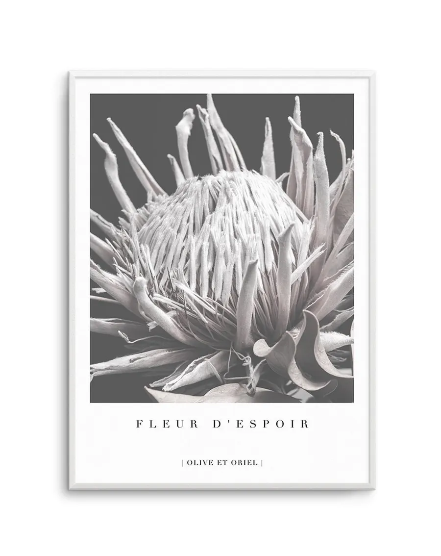 Fleur D'Espoir | King Protea