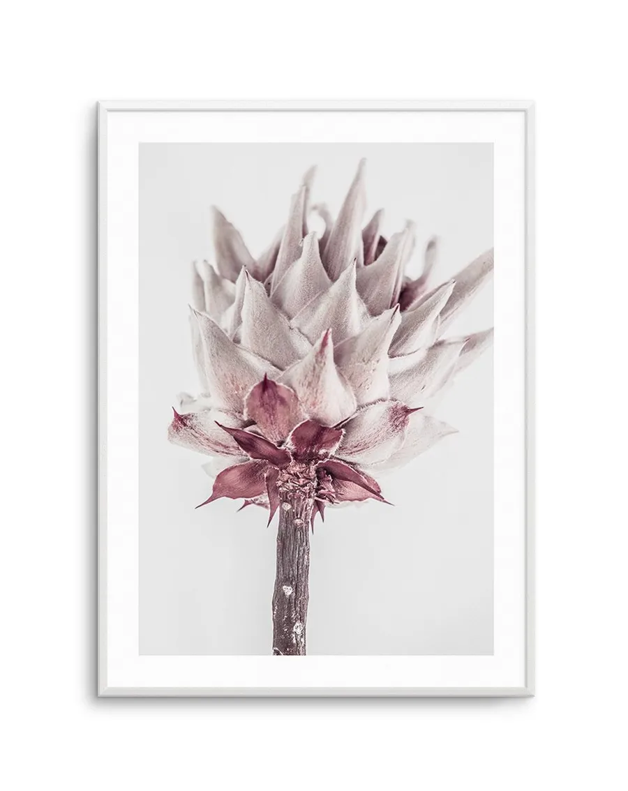 Abstract Protea III