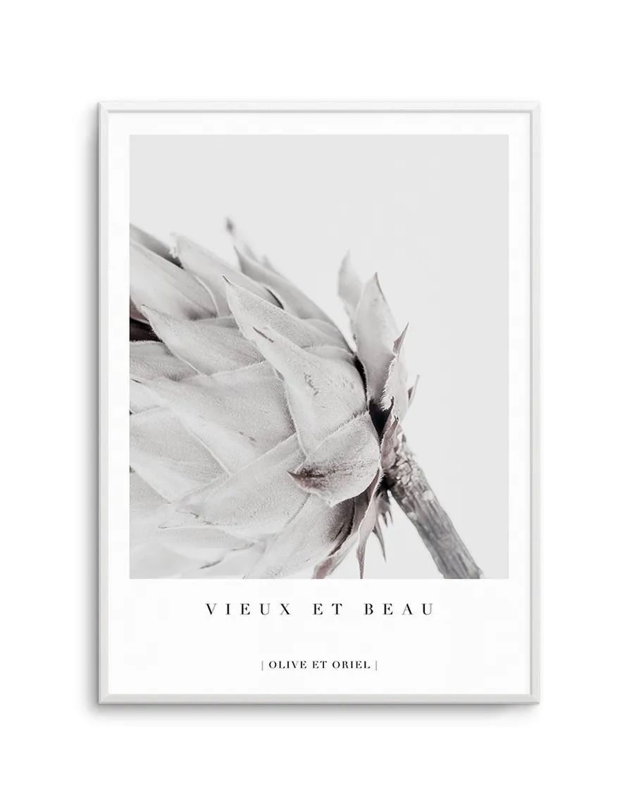 Vieux Et Beau | King Protea