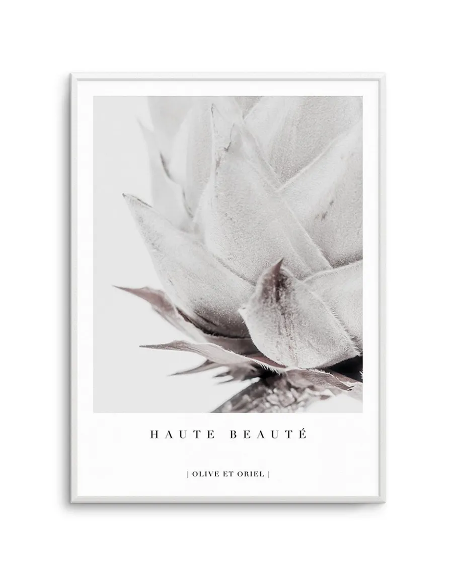 Haute Beaute | King Protea