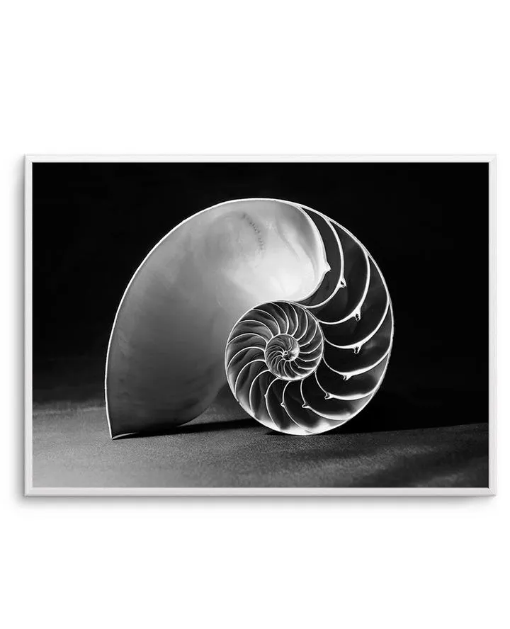 Nautilus B&W
