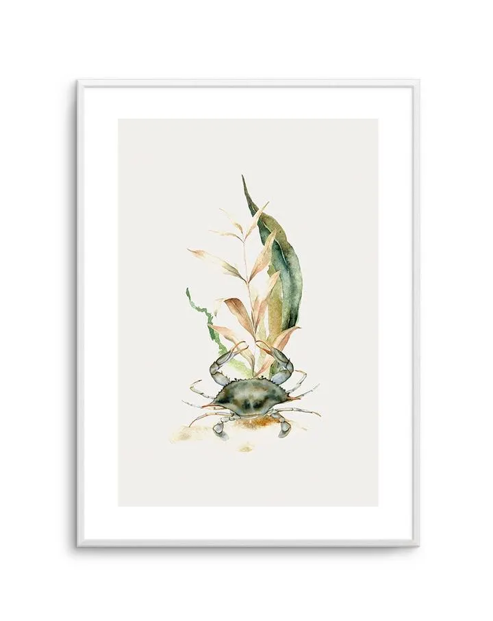 Watercolour Crab