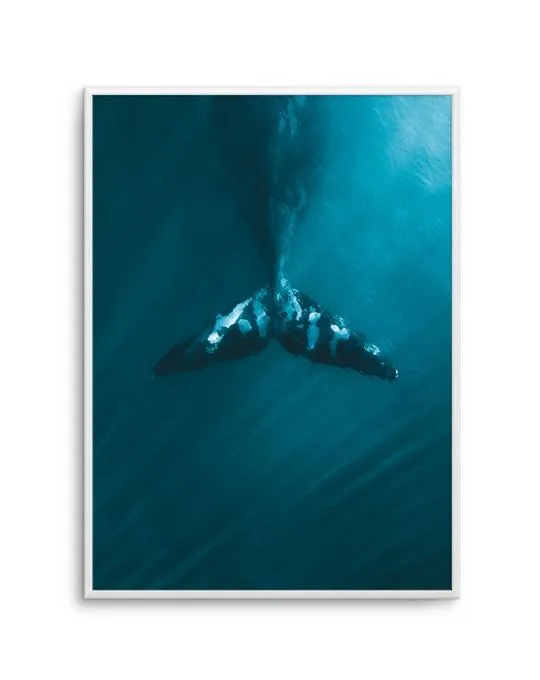 Whale Tail | Blue