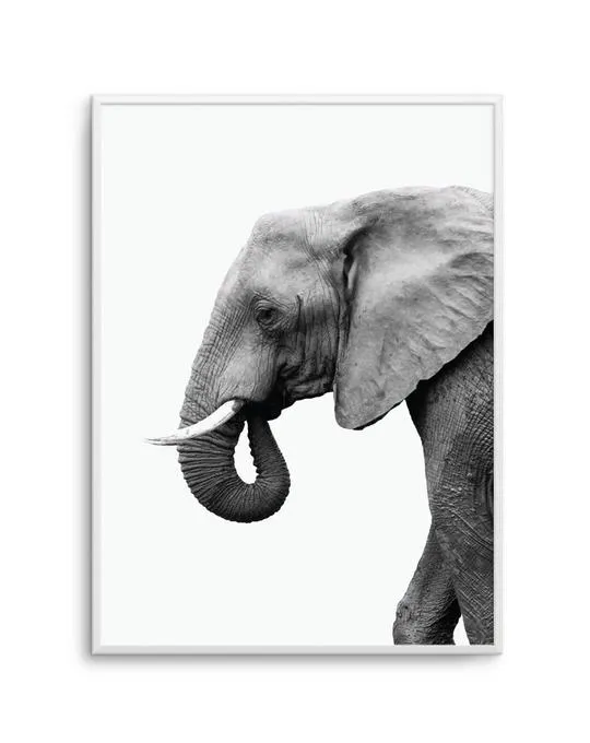 Elephant I