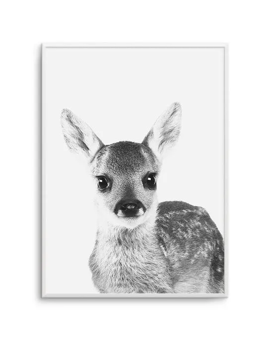 Baby Deer | B&W