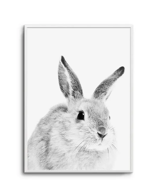 Bunny | B&W