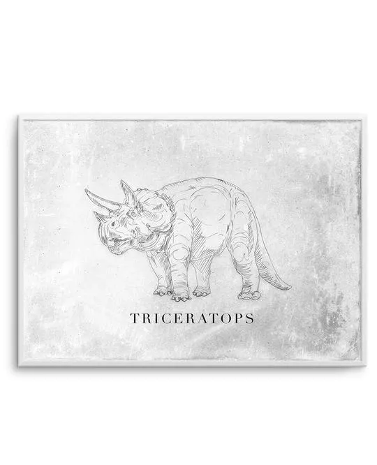 Triceratops | LS | Dinosaur Collection
