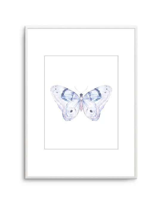 Butterfly II