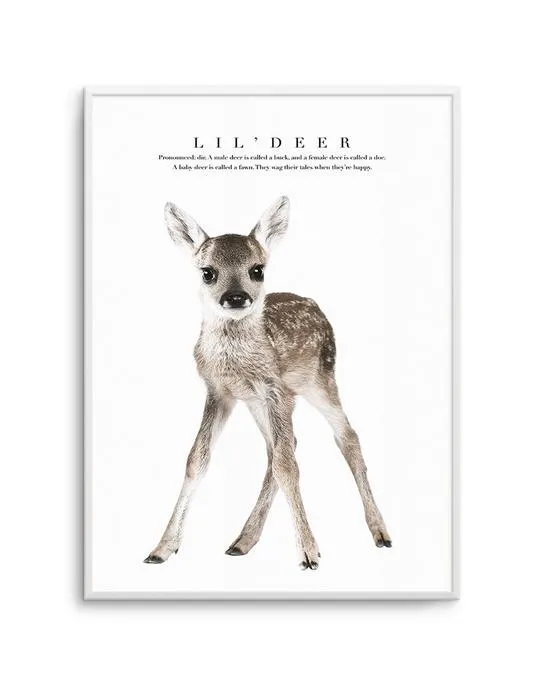 Lil' Deer