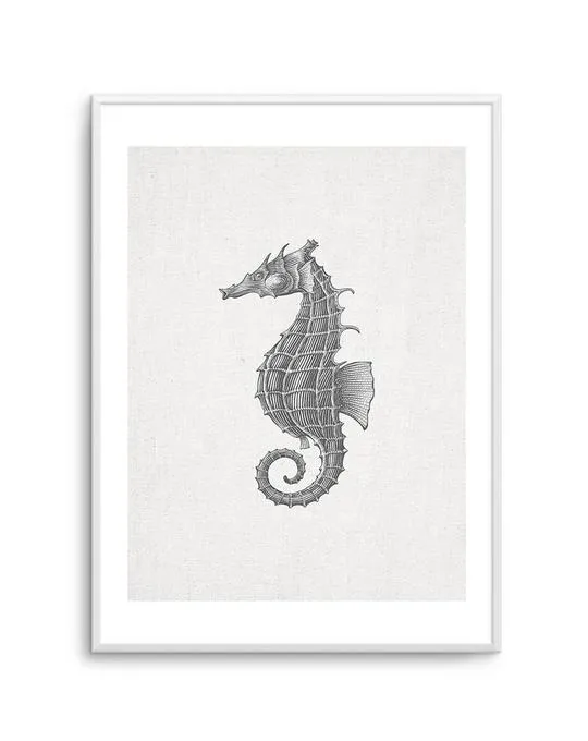Seahorse On Linen