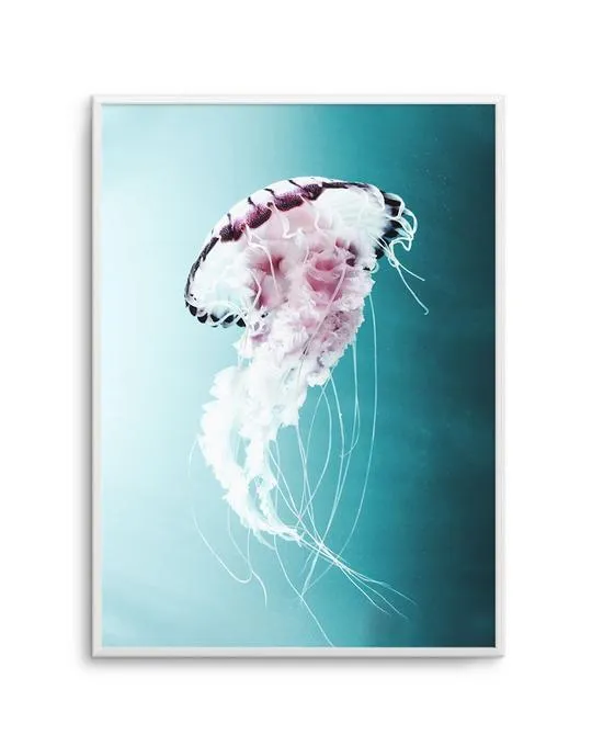 Drifting Jellyfish