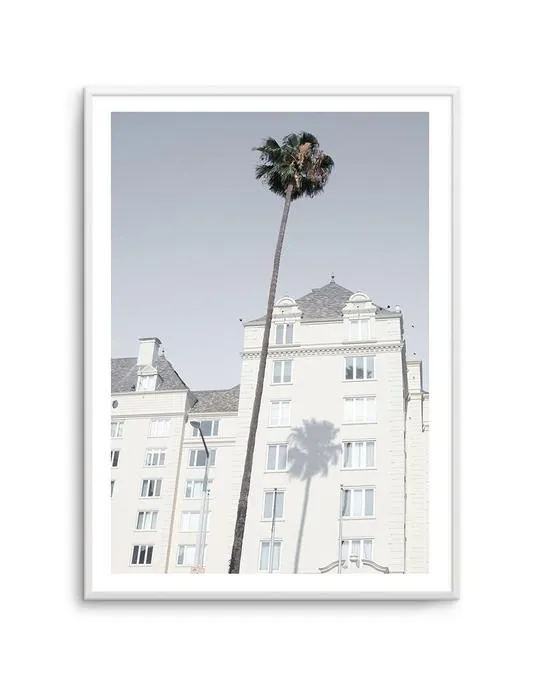 LA City Palm