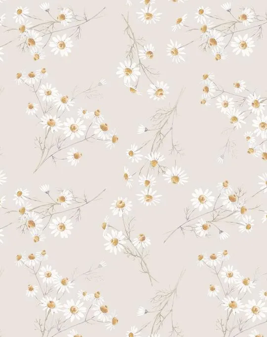 Little Daisy Chain Wallpaper