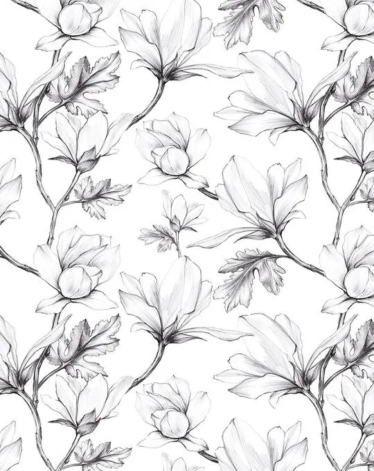 Magnolia Sketch Wallpaper