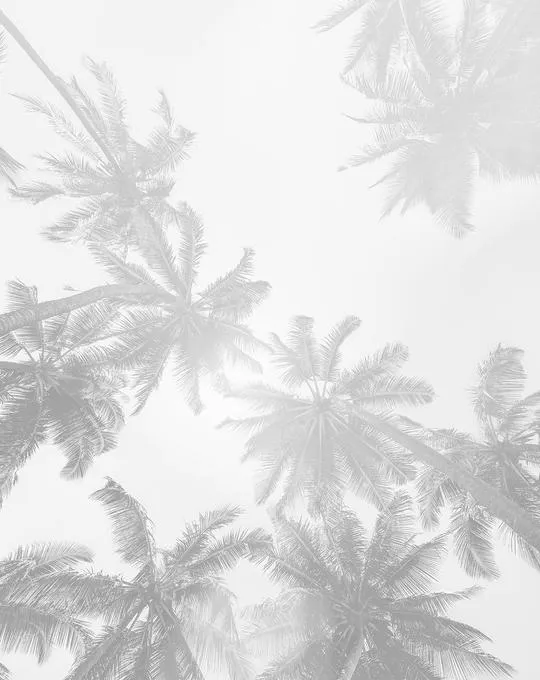 Under the Palms Monochrome Wallpaper Mural