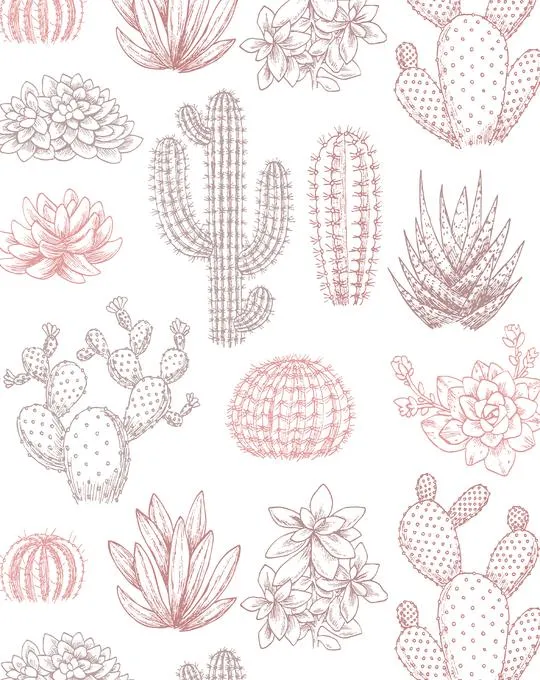 Vintage Cactus Garden Wallpaper