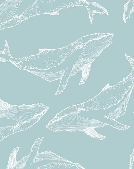 Whale Illustration | Seafoam Wallpaper