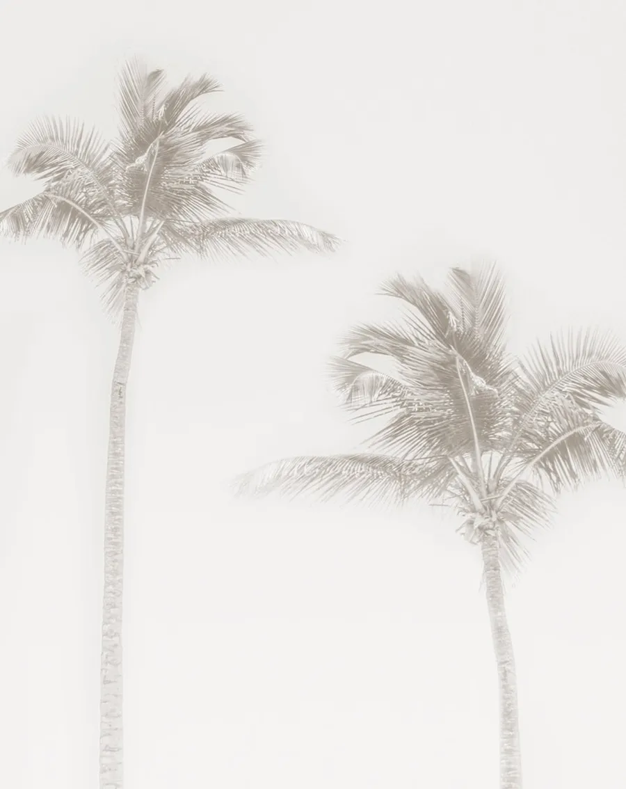 Shady palms - Faded wallpaper Mural