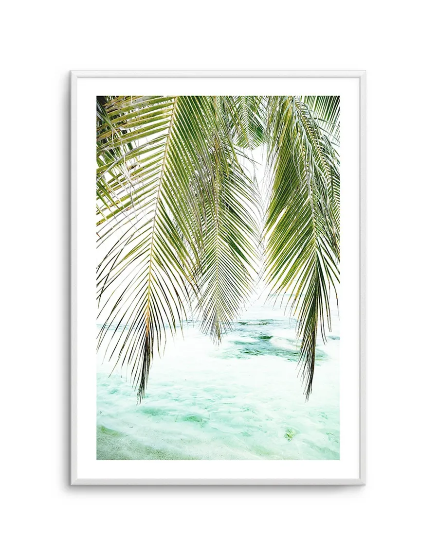 Seaside Palm