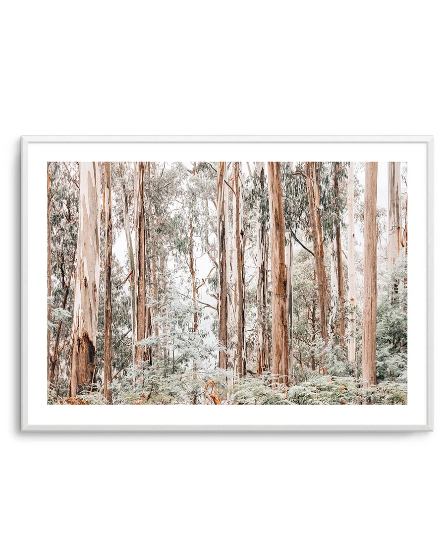 Through the Gum Trees