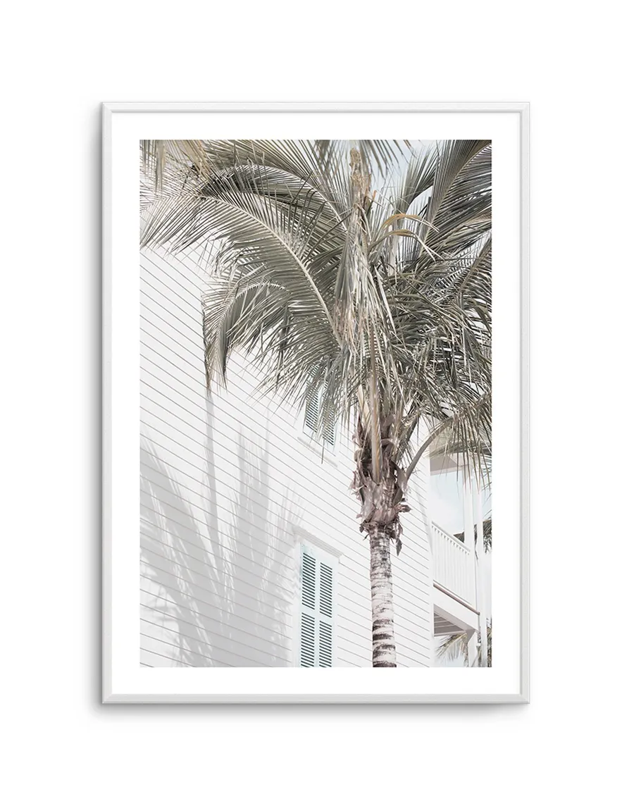 Hamptons Palm