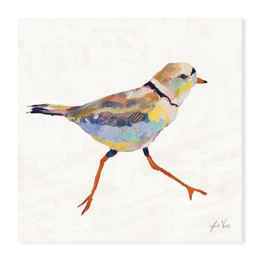 Coastal Plover Linen, Style A
