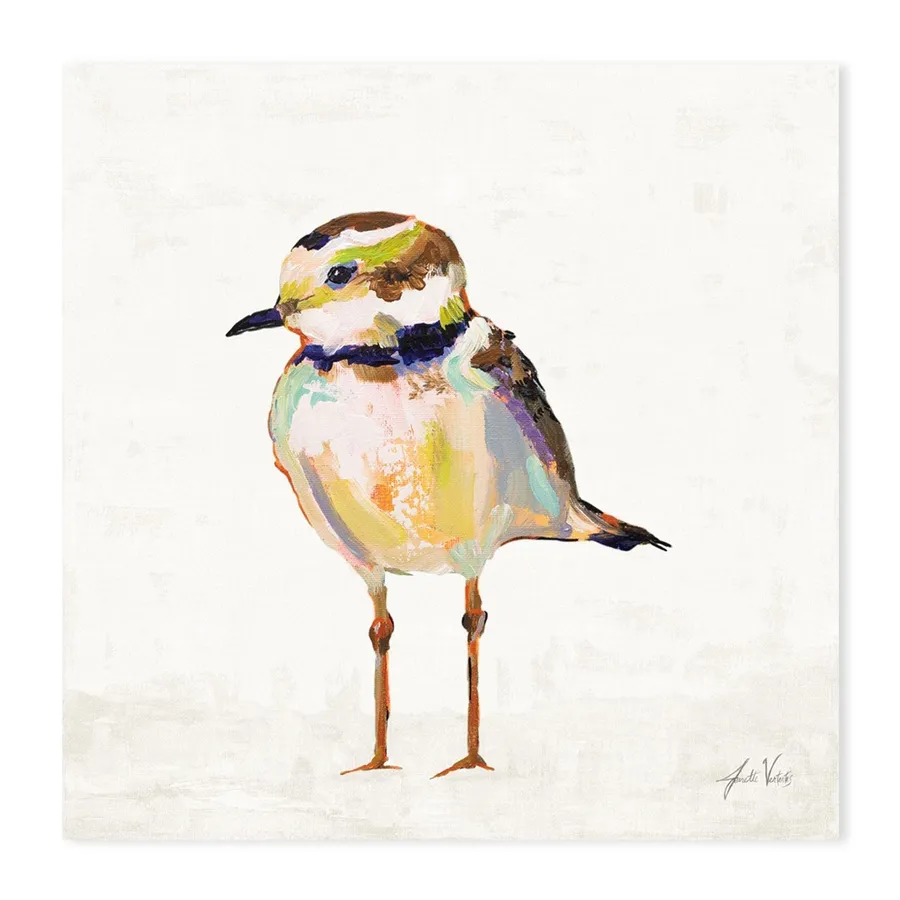 Coastal Plover Linen, Style B