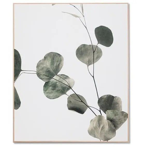 Eucalyptus Branch 2 Framed Canvas Wall Art Print by Interior Secrets - AfterPay Available