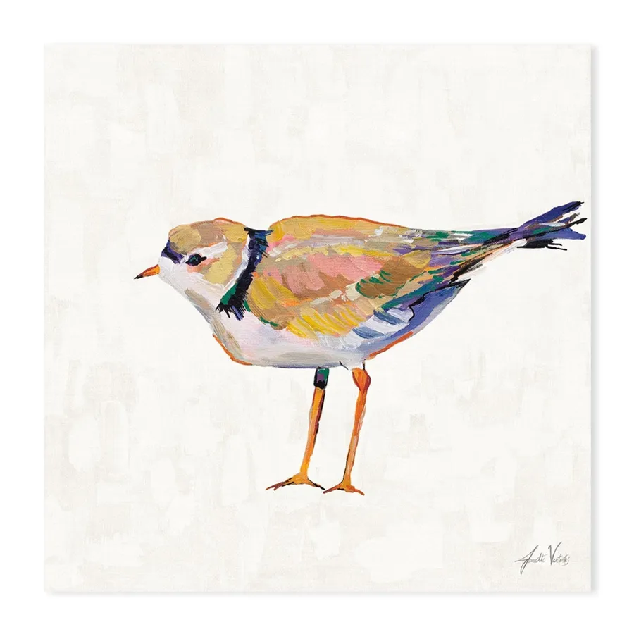 Coastal Plover Linen, Style D
