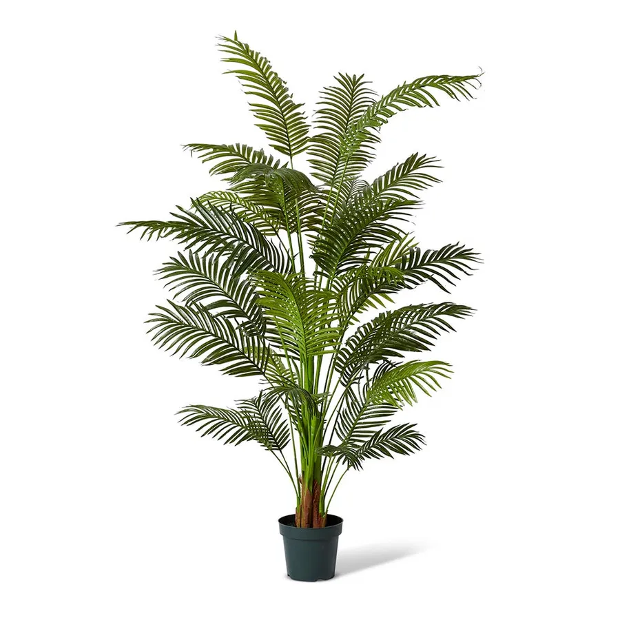 Areca Palm Potted Plant Green - 120cm x 120cm x 213cm