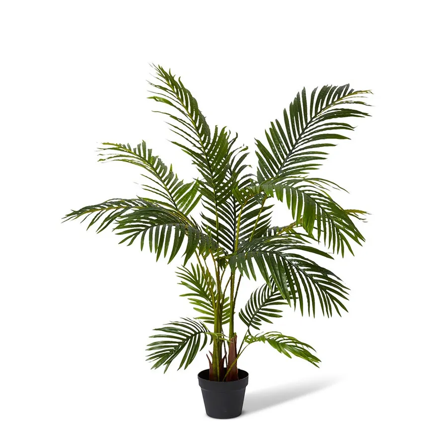 Areca Palm Potted Plant Green - 90cm x 90cm x 120cm