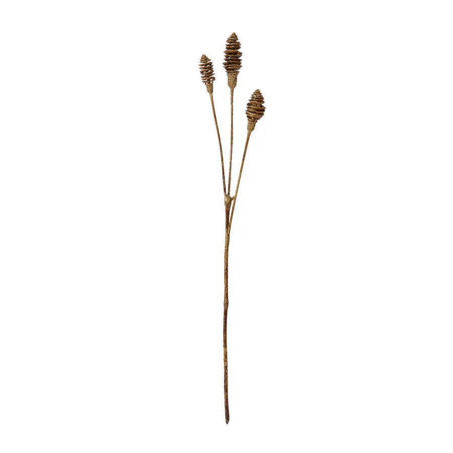 Cone Nut Spray Brown - 72cm