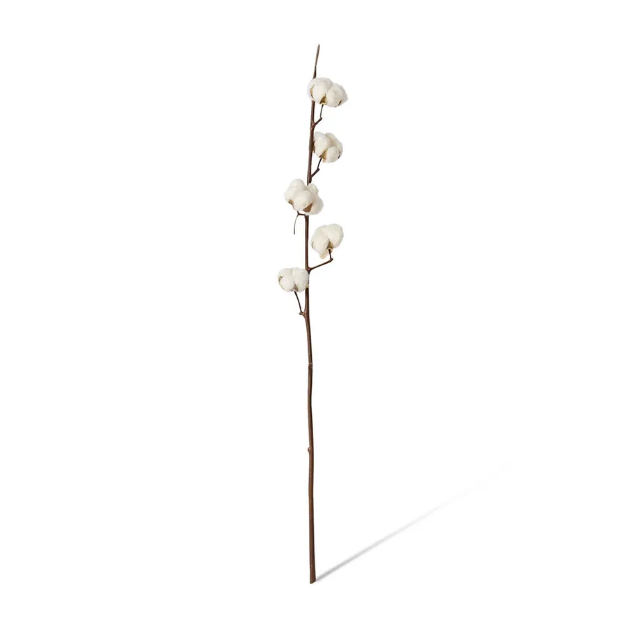 Cotton Stem White/Brown - 15cm x 8cm x 90cm