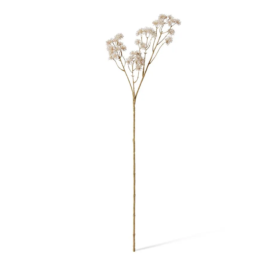 Aralia Deco Seed Spray - 13cm x 11cm x 84cm