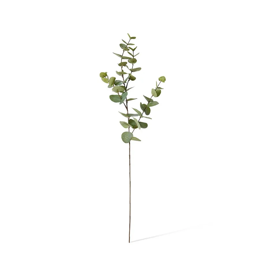 Eucalyptus Dollar Spray Grey Green - 94cm