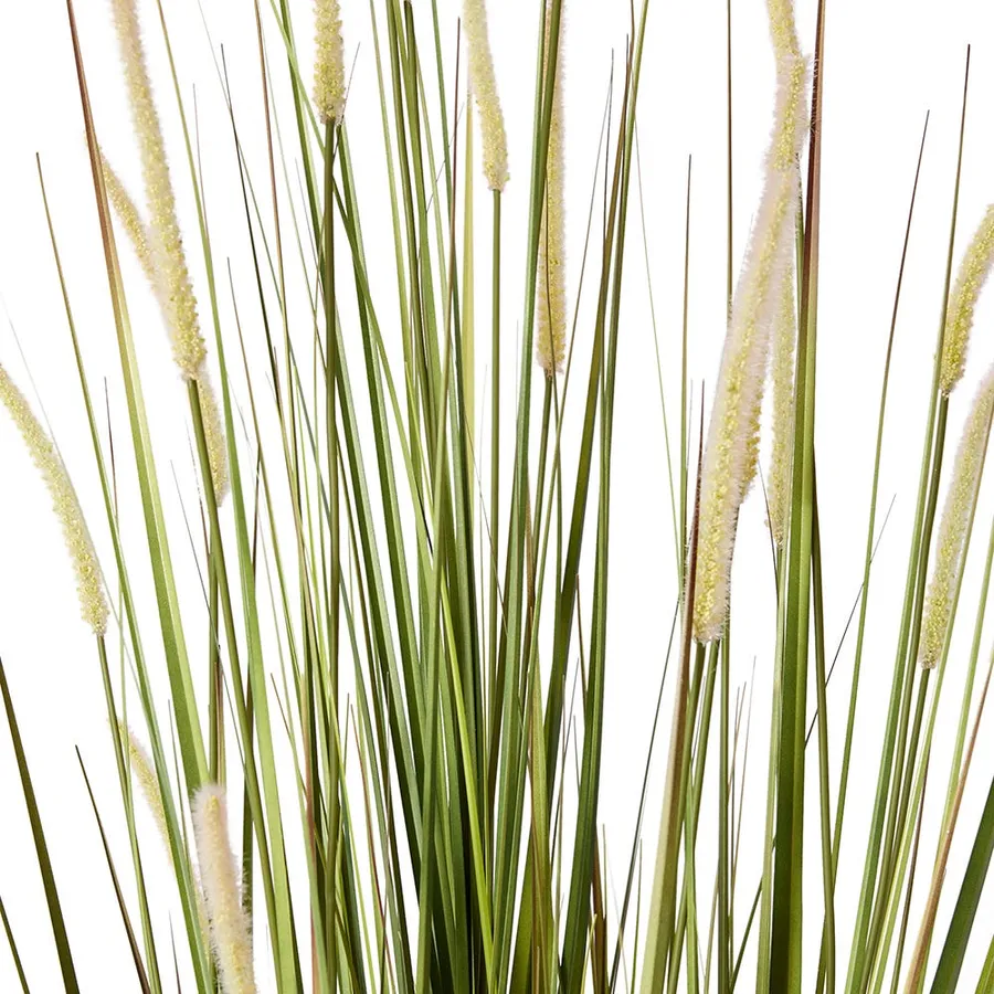 Fox Tail Grass Green/White - 70cm x 70cm x 170cm